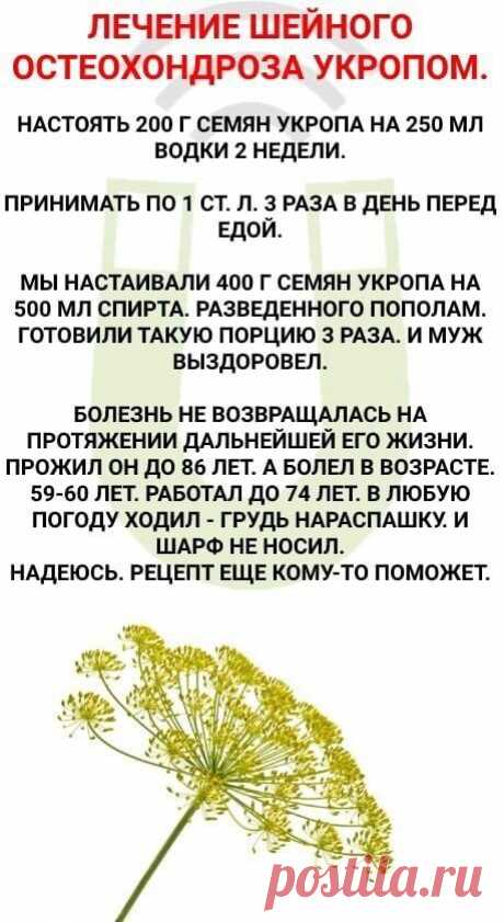 (17) Одноклассники