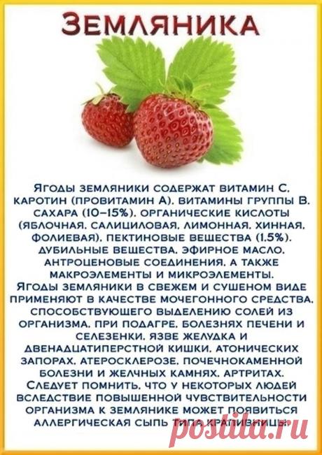 Земляника - лечебные свойства
