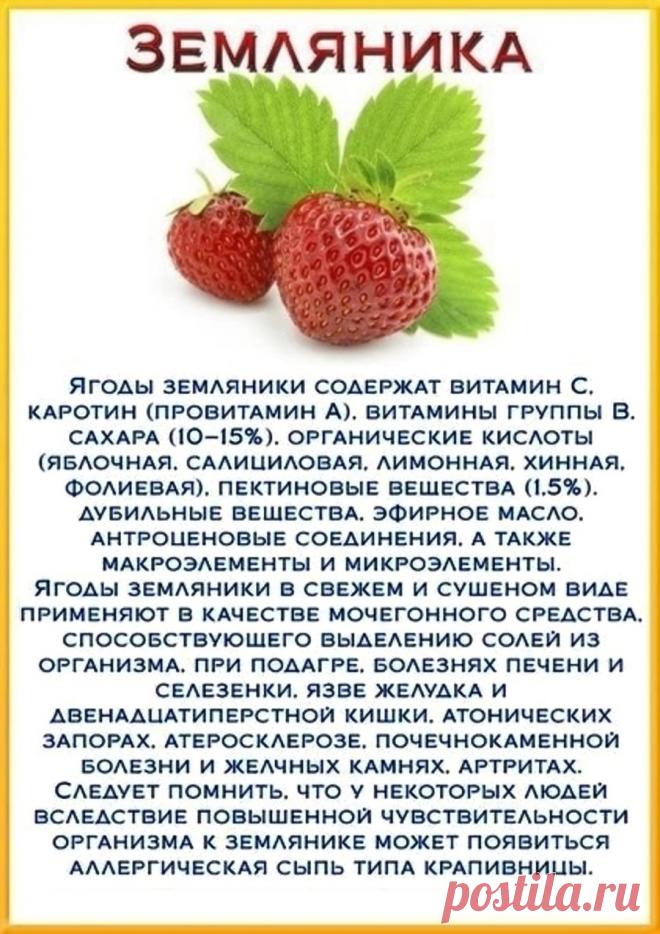 Земляника - лечебные свойства