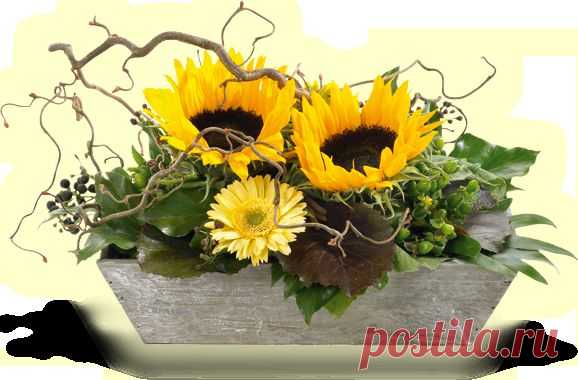 Цветочное вдохновление