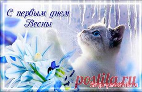 С наступлением весны! Музыкальная открытка. | Дарю праздник
Поздравляю с наступлением весны. С этим чудесным временем года.
И примите в подарок мою поздравительную музыкальную открытку.
С весной! Желаю, чтобы Ваша весна была красивой и романтичной!
НАЖМИТЕ НА КАРТИНКУ! Приятного просмотра!