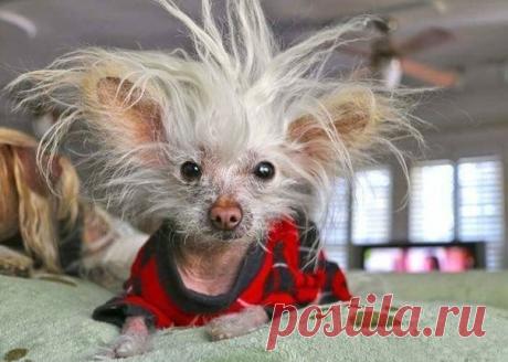 Проблемы в личной жизни? Устройся на две работы. Нет личной жизни, нет проблем.