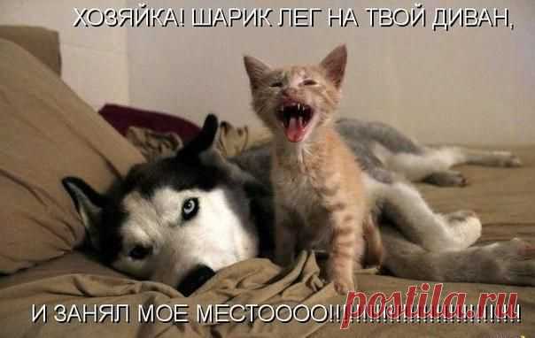Ябеда...