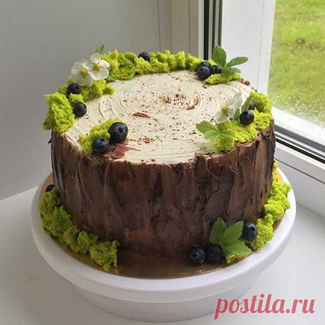 Отличный лесной тортик🌳