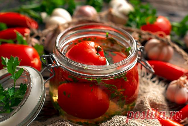 Малосольные помидоры за 3 дня — Кулинарные рецепты с фото