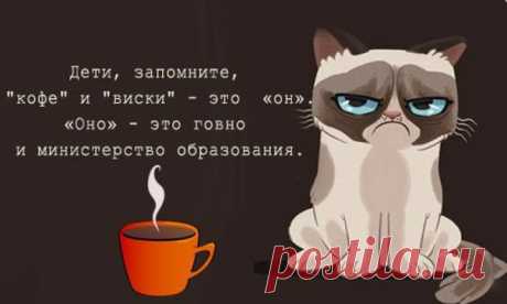 афоризмы