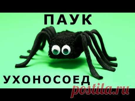 СТРАШНЫЙ ПАУК-УХОНОСОЕД! Как сделать ПАУКА своими руками - YouTube