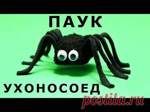 СТРАШНЫЙ ПАУК-УХОНОСОЕД! Как сделать ПАУКА своими руками - YouTube