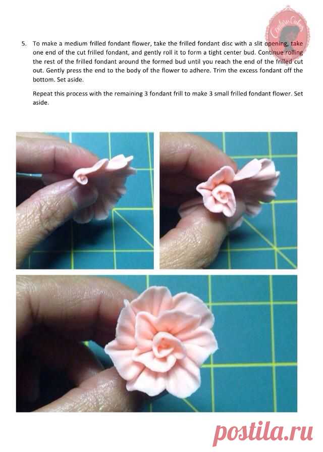 (1) Friday Freebie