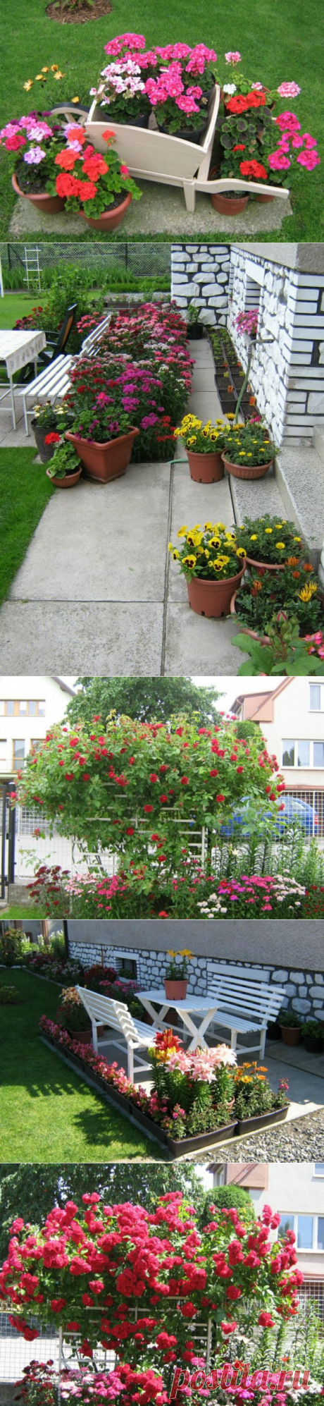 Примеры оформления участка цветниками — 6 соток