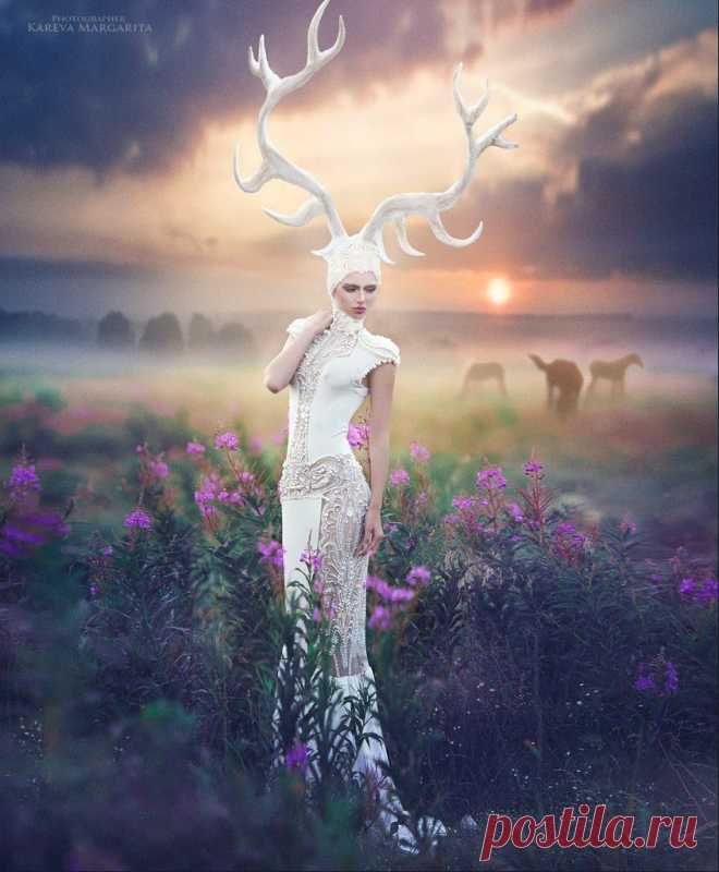 белый олень.white deer |Фотограф: Margarita Kareva