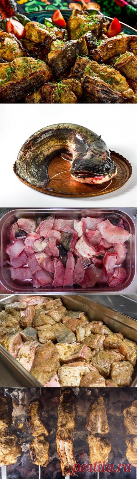 Достойный Вашего внимания рецепт! Шашлык из сома — Вкусные рецепты