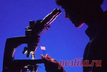 Методы терапии в онкологии: как лечат рак?. Методы лечения рака: химиотерапия, лучевое облучение, хирургическая операция. Как лечат в онкологии: сравниваем методы и результаты.