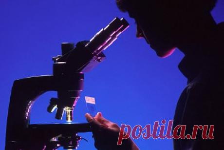 Методы лечения РАКА: химиотерапия, лучевое облучение, хирургическая операция