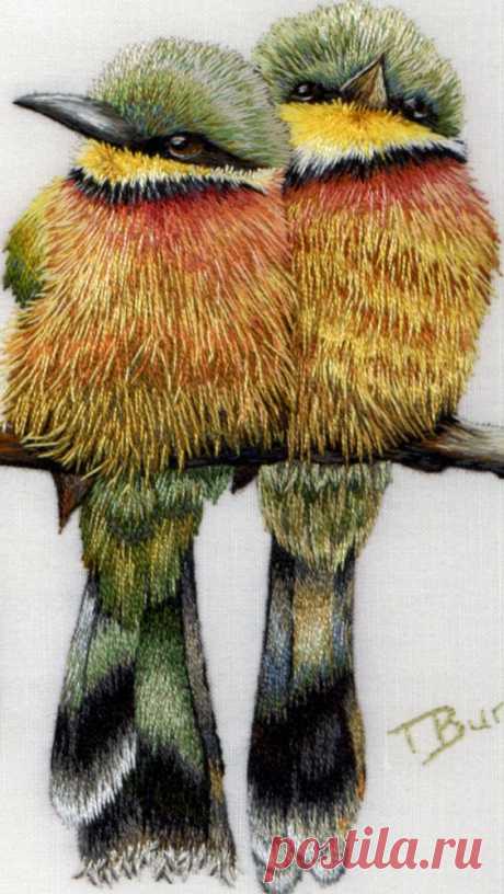 close-up detail Little Bee Eaters  /  San San Chow  -  Сохранено на доску: Birds &amp; Butterfly   |   Pinterest: инструмент для поиска и хранения интересных идей