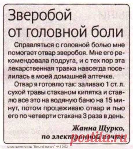 Зверобой от головной боли
