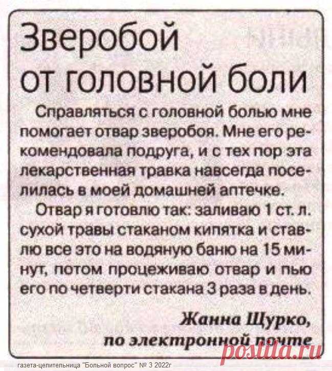 Зверобой от головной боли