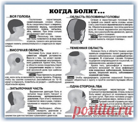 Хитрости жизни