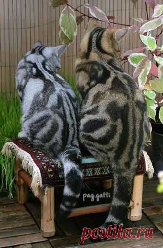 (90) Facebook