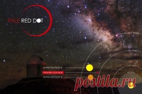 Поиск планеты звезды Проксима Центавра в созвездии Центавра | АСТРОновости