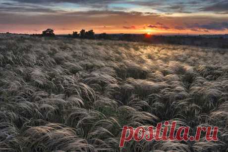 Как фотографировать пейзаж