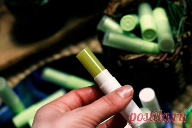 Как сделать лесной бальзам для губ на хвойном масле. Дешево, практично и без химии | Живые вещи | Яндекс Дзен