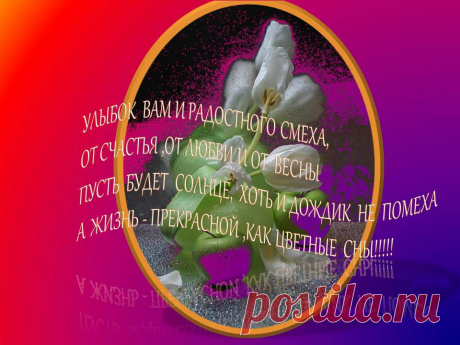 Санкт-Петербург.Достопримечательности.