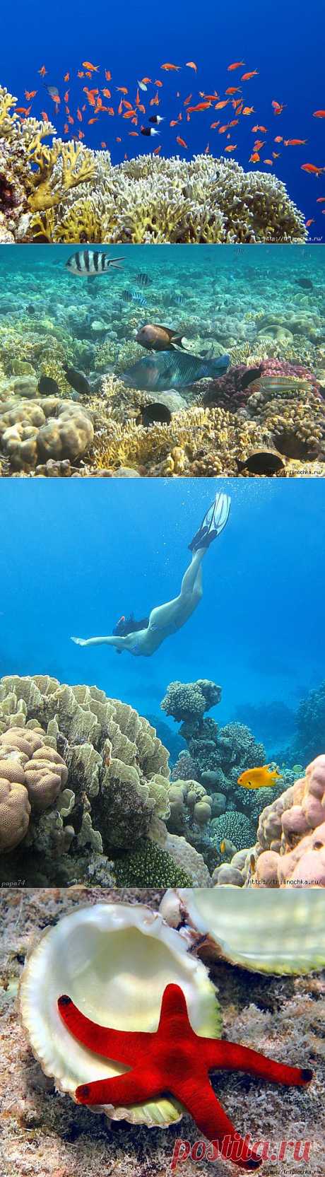 Поплыли со мной! Море и наше здоровье!.