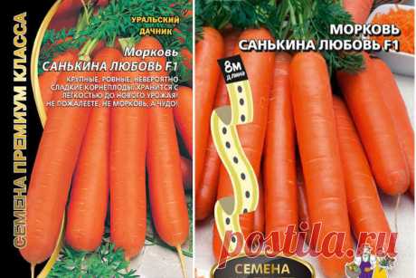 Морковь Санькина любовь F1: отзывы, фото, характеристика, урожайность, описание сорта, достоинства и недостатки, особенности выращивания