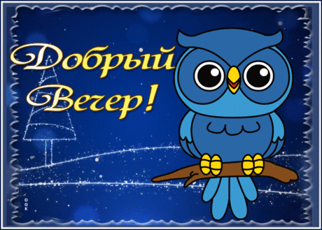 Зимняя открытка добрый вечер с совой
