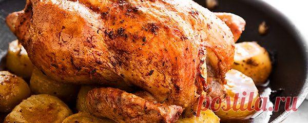 Кулинария и рецепты блюд на Чудо-Повар.ком