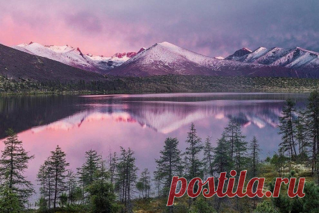 Прекрасный мир