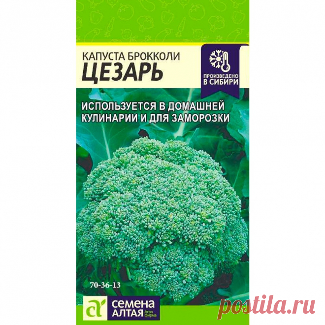 Капуста брокколи f1 цезарь Огород без хлопот - информационный сайт для дачников, садоводов и огородников.