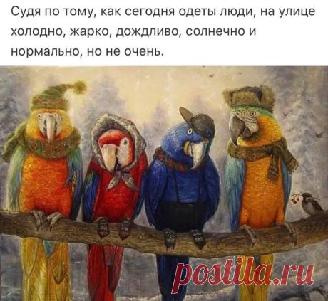 о погоде