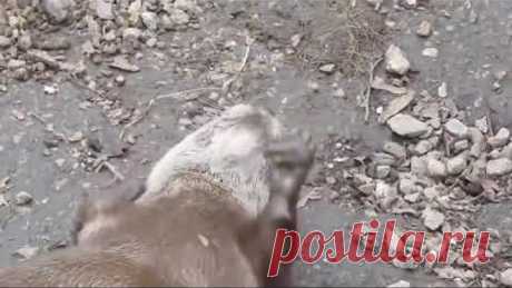 Когда жизнь прекрасна и заняться совсем нечем )))