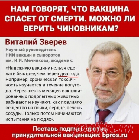 (4) Одноклассники