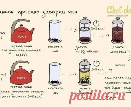 10 шпаргалок, которые пригодятся на кухне