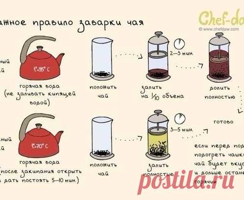 10 шпаргалок, которые пригодятся на кухне