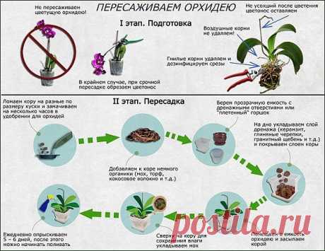 (30) Одноклассники