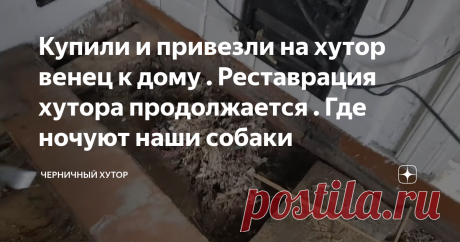 Купили и привезли на хутор венец к дому . Реставрация хутора продолжается . Где ночуют наши собаки