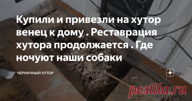 Купили и привезли на хутор венец к дому . Реставрация хутора продолжается . Где ночуют наши собаки