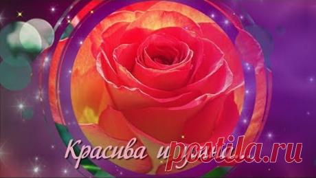 Ты женщина...Ты Радость...Ты Цветок...