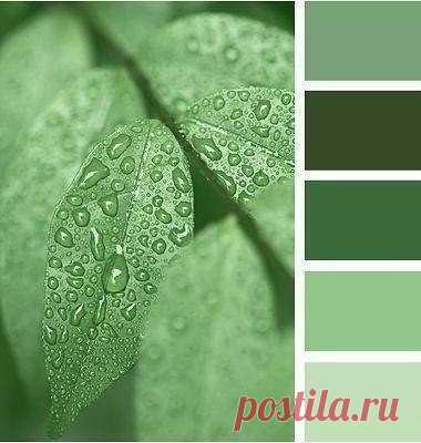 Фотографии на стене сообщества | 34 375 фотографий | ВКонтакте