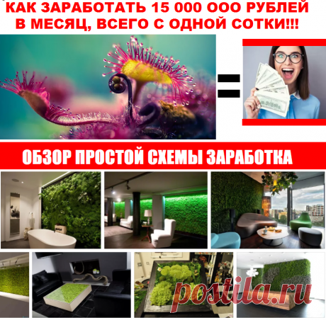 Как заработать 15 миллионов с одной сотки – Бизнес от Скандинавских садоводов :) – ОБЗОР БИЗНЕС ИДЕЙ – НОВЫЕ МЕТОДИКИ ЗАРАБОТКА