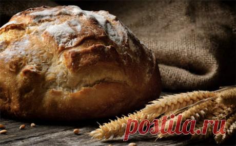 12 советов для создания хлеба своими руками - Steak Lovers - 22 мая - Медиаплатформа МирТесен Археологические находки эпохи неолита свидетельствуют о том, что уже в те времена знали, как испечь хлеб. Один из старейших продуктов готовили из крупы и воды. Со временем на смену пресному хлебу пришел дрожжевой. Закваску делали из ржаной муки, соломы, овса или ячменя. К ней добавляли основные - 22 мая - 43054110493 - Медиаплатформа МирТесен