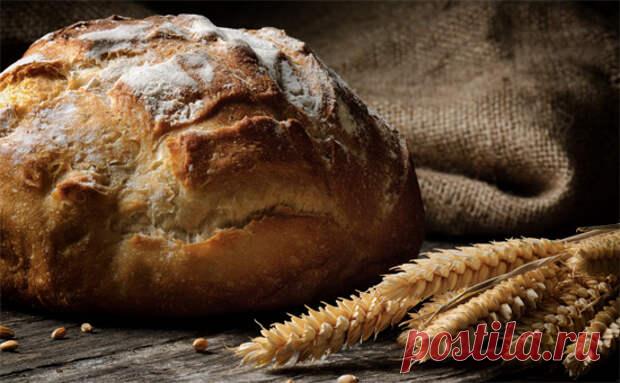 12 советов для создания хлеба своими руками - Steak Lovers - 22 мая - Медиаплатформа МирТесен Археологические находки эпохи неолита свидетельствуют о том, что уже в те времена знали, как испечь хлеб. Один из старейших продуктов готовили из крупы и воды. Со временем на смену пресному хлебу пришел дрожжевой. Закваску делали из ржаной муки, соломы, овса или ячменя. К ней добавляли основные - 22 мая - 43054110493 - Медиаплатформа МирТесен