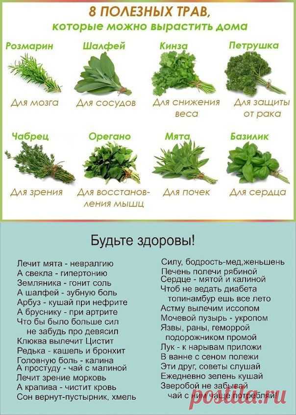 Полезные травы
