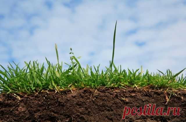 Как определить тип почвы и ее кислотность - Садоводка