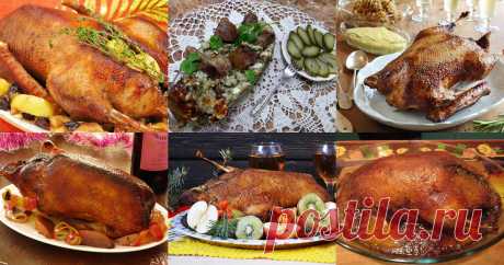 Утка фаршированная целиком: 10 рецептов - 1000.menu Утка фаршированная - быстрые и простые рецепты для дома на любой вкус: отзывы, время готовки, калории, супер-поиск, личная КК