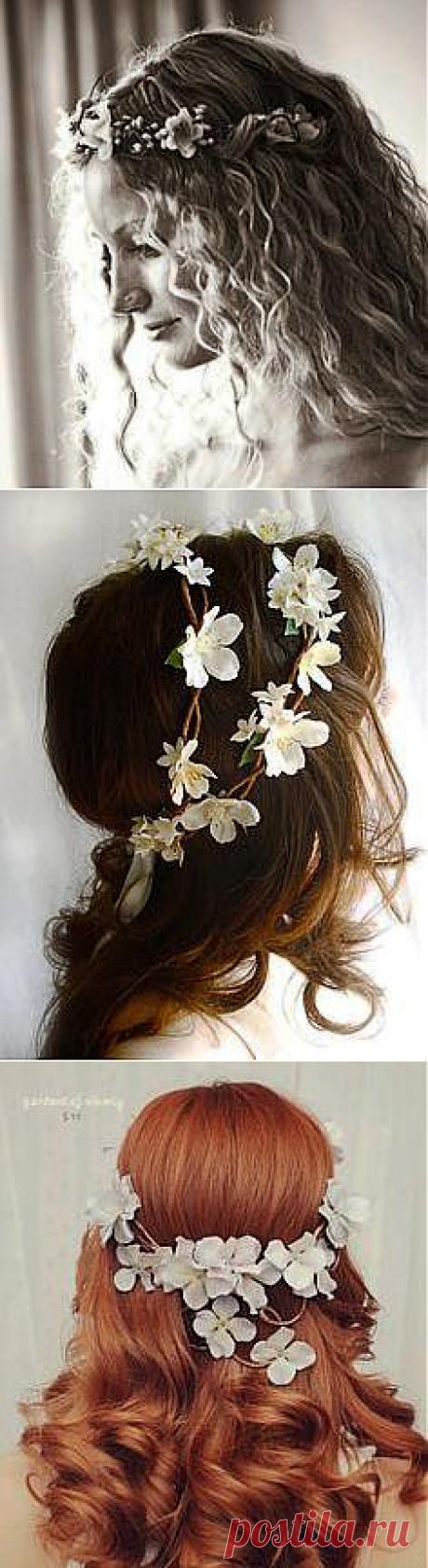 Spring Frost | Windows to the Soul